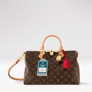 Louis Vuitton Soft Speedy 30 Crafty